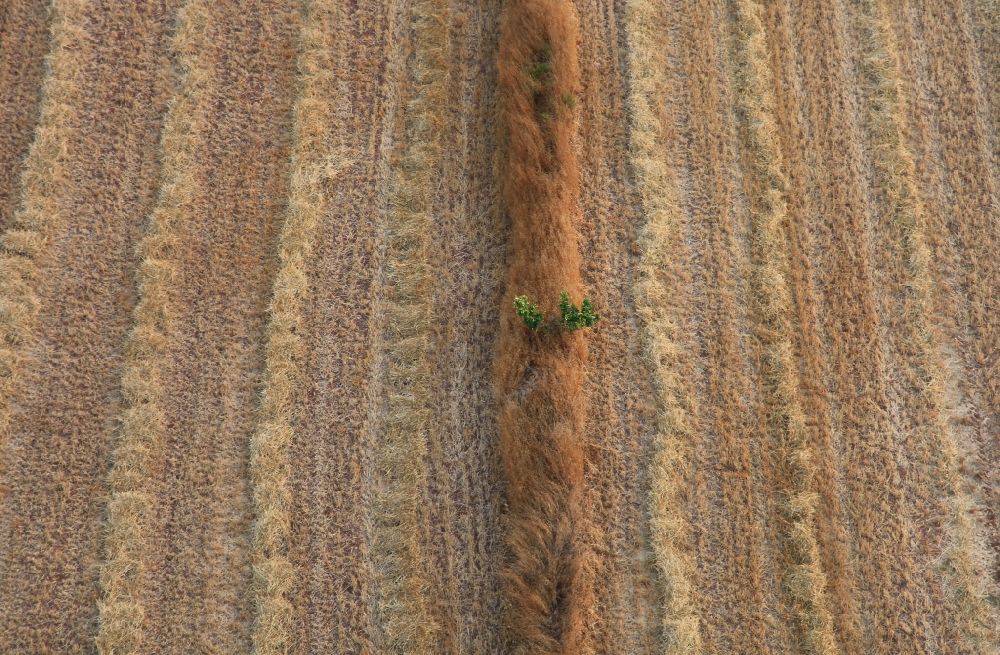 Aerial photograph Inca - Structures on agricultural fields after the harvest at Inca in Mallorca in Balearic Islands, Spain