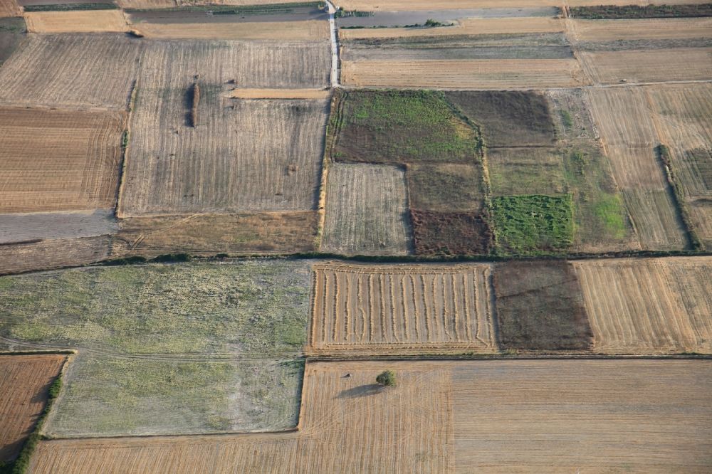 Aerial image Manacor - Structures on agricultural fields after the harvest at Manacor in Mallorca in Balearic Islands, Spain