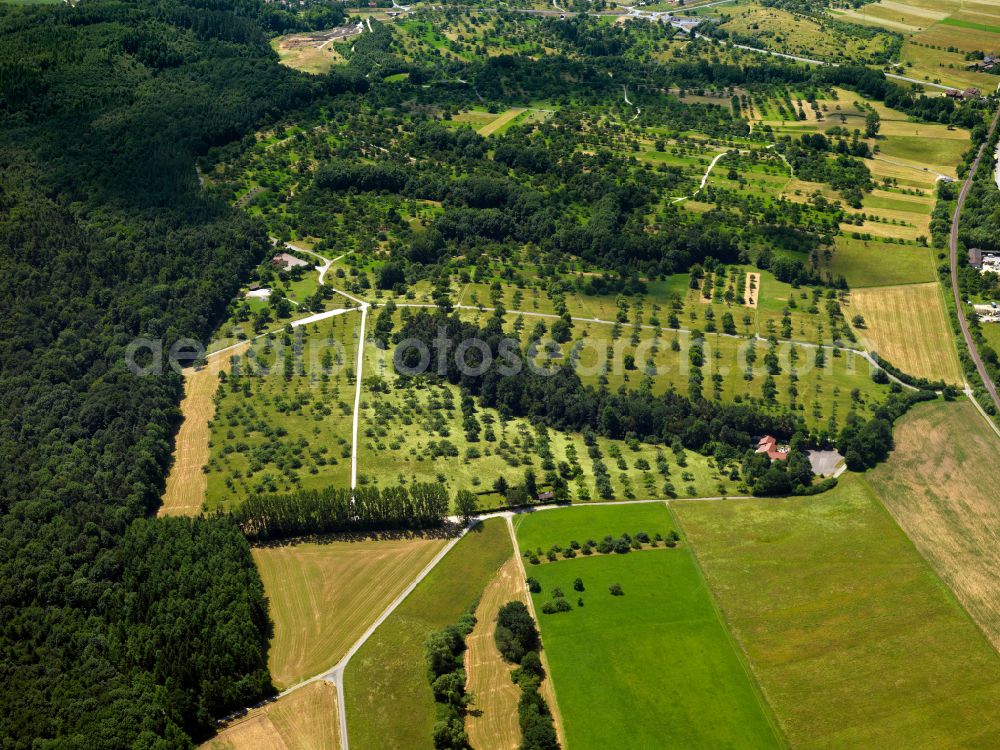 Nehren from the bird's eye view: Structures on agricultural fields in Nehren in the state Baden-Wuerttemberg, Germany