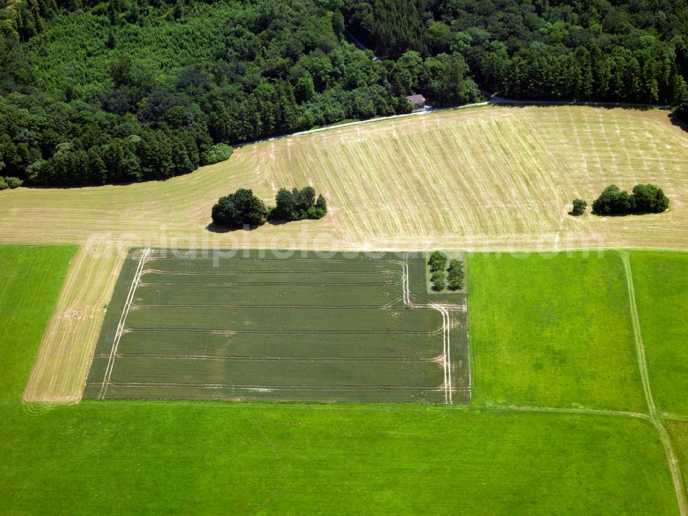Aerial image Nehren - Structures on agricultural fields in Nehren in the state Baden-Wuerttemberg, Germany