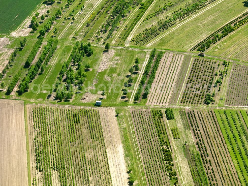 Aerial photograph Oggelshausen - Structures on agricultural fields in Oggelshausen in the state Baden-Wuerttemberg, Germany