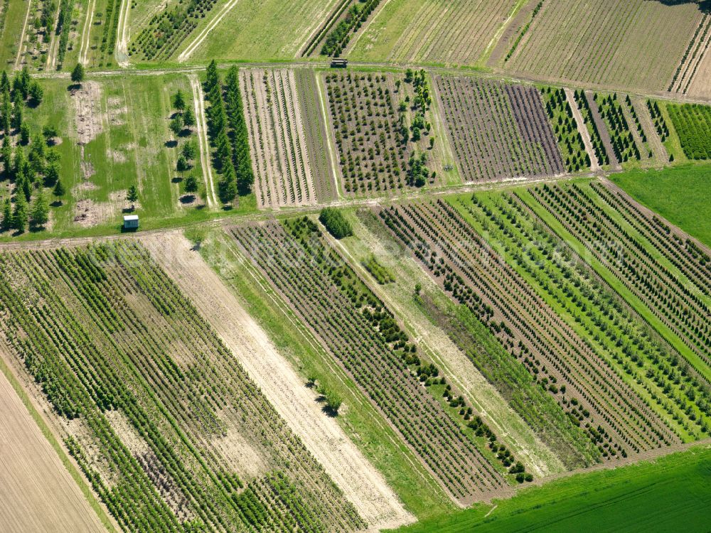 Aerial image Oggelshausen - Structures on agricultural fields in Oggelshausen in the state Baden-Wuerttemberg, Germany