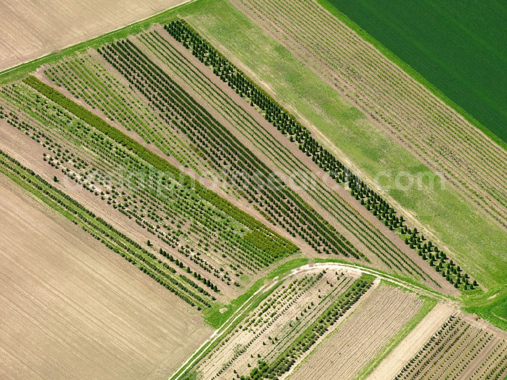 Aerial photograph Oggelshausen - Structures on agricultural fields in Oggelshausen in the state Baden-Wuerttemberg, Germany
