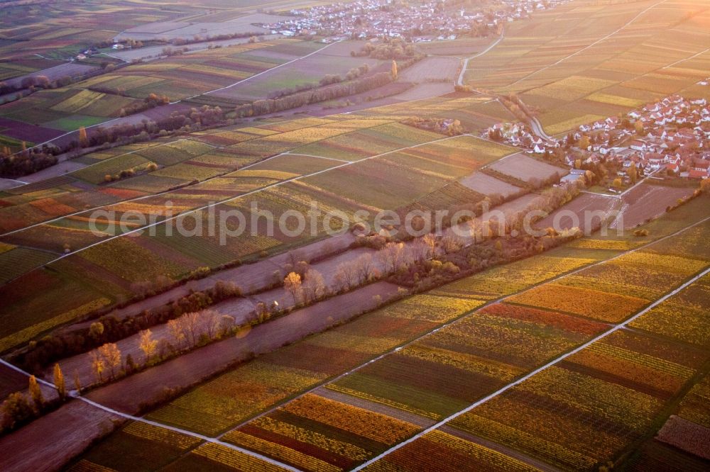 Landau in der Pfalz from above - Structures on agricultural fields in the district Wollmesheim in Landau in der Pfalz in the state Rhineland-Palatinate