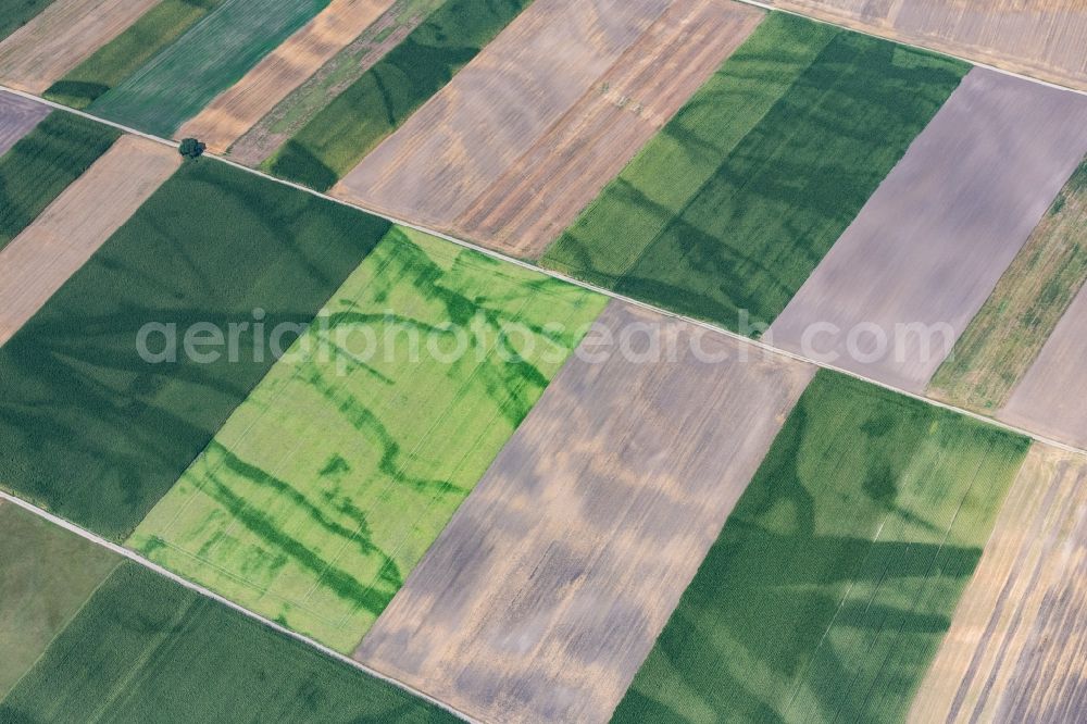 Rehling from above - Structures on agricultural fields in Rehling in the state Bavaria, Germany