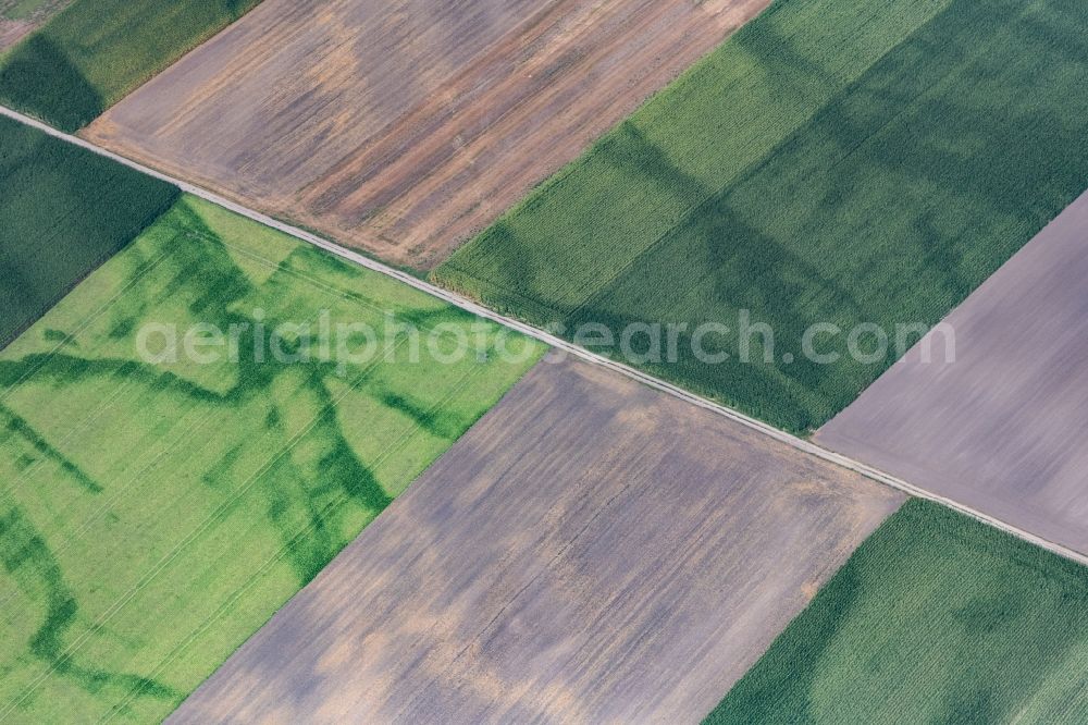 Rehling from the bird's eye view: Structures on agricultural fields in Rehling in the state Bavaria, Germany