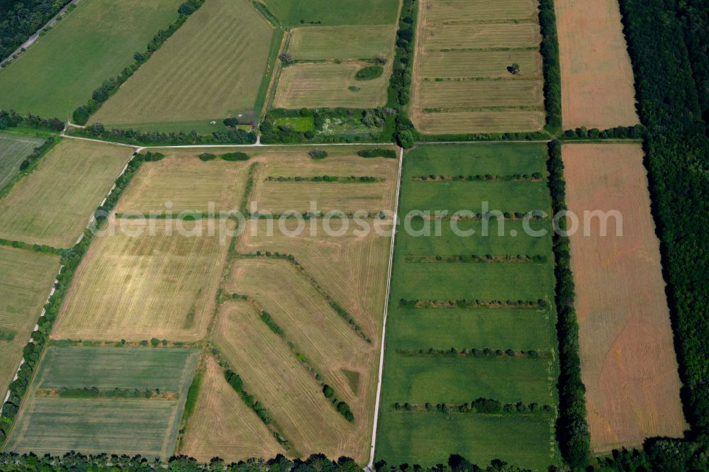 Rieselfeld from the bird's eye view: Structures on agricultural fields in Rieselfeld in the state Baden-Wuerttemberg, Germany