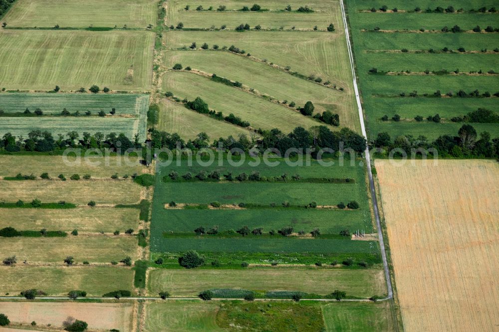Aerial image Rieselfeld - Structures on agricultural fields in Rieselfeld in the state Baden-Wuerttemberg, Germany