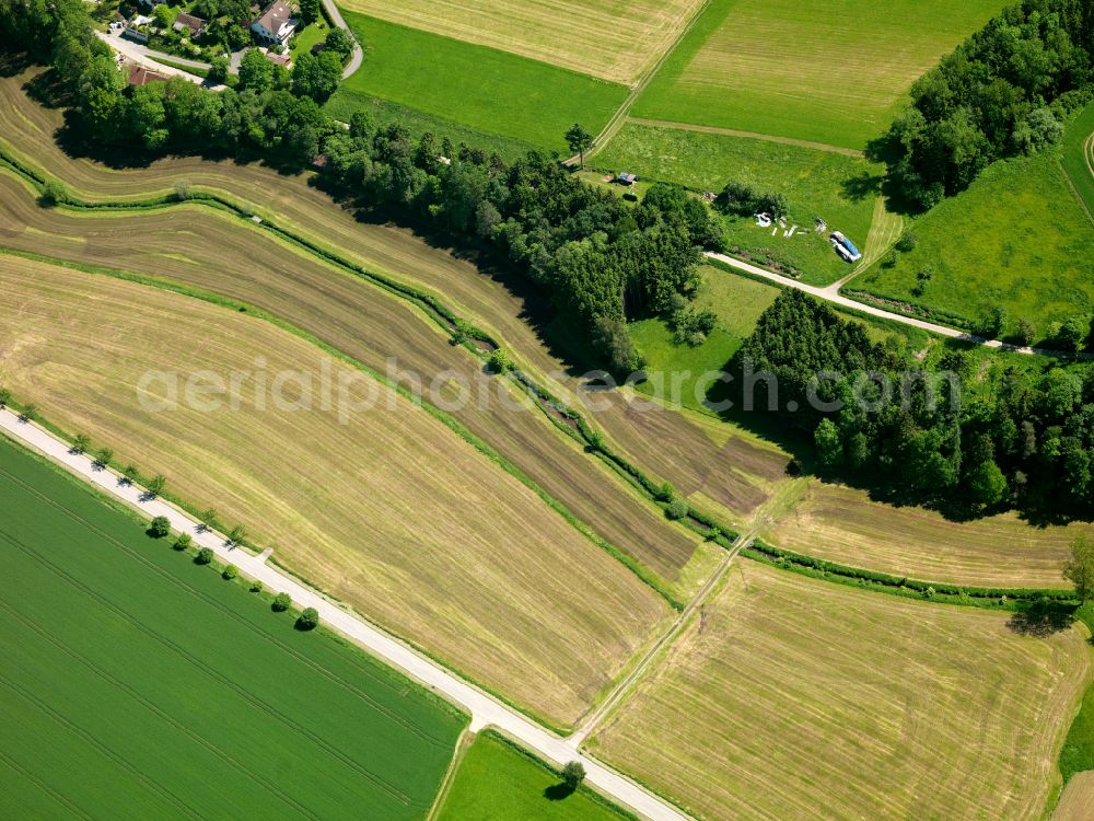 Aerial image Ringschnait - Structures on agricultural fields in Ringschnait in the state Baden-Wuerttemberg, Germany