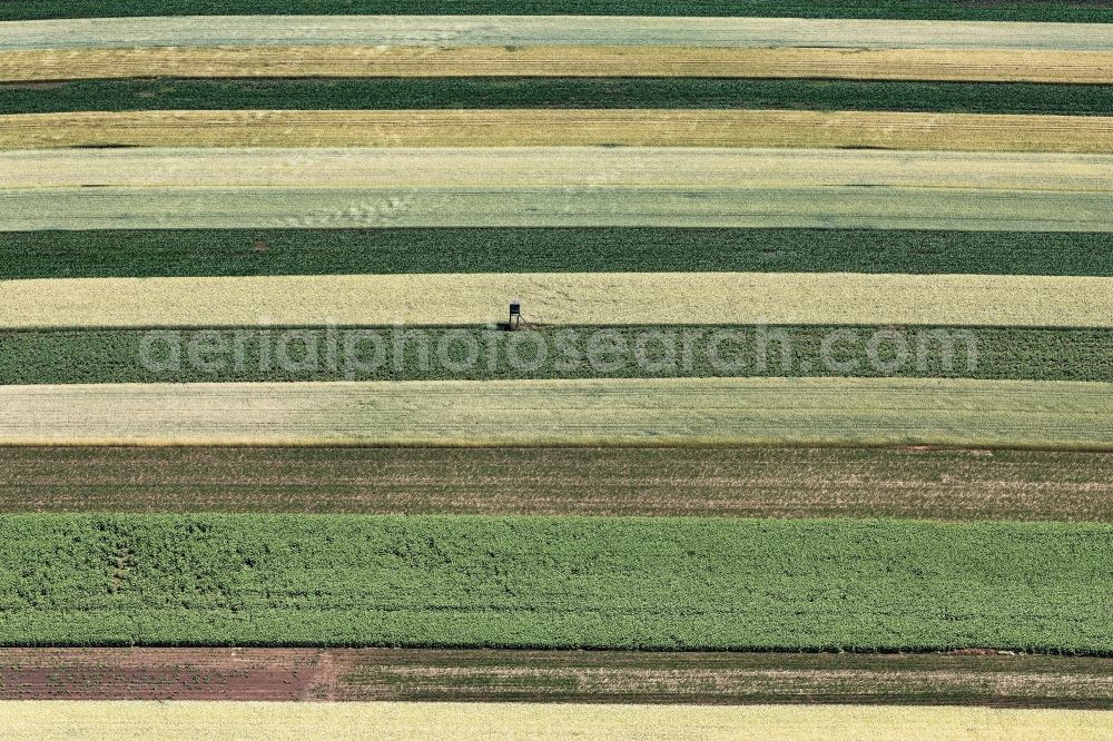 Schwechat from above - Structures on agricultural fields in Schwechat in Lower Austria, Austria