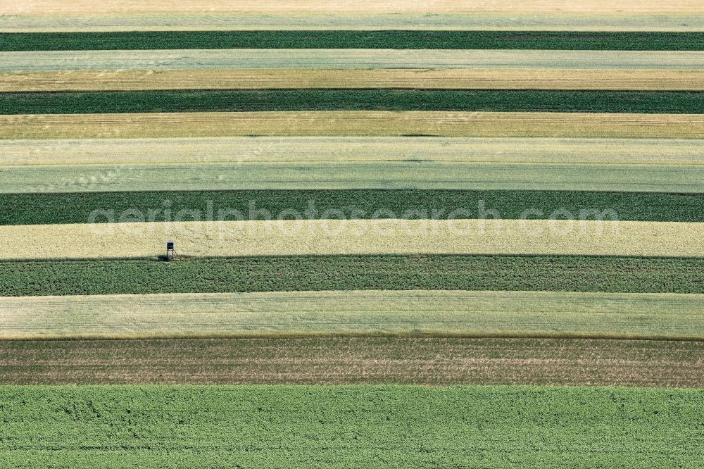 Schwechat from the bird's eye view: Structures on agricultural fields in Schwechat in Lower Austria, Austria