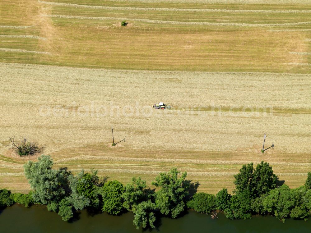 Aerial photograph Sickenhausen - Structures on agricultural fields in Sickenhausen in the state Baden-Wuerttemberg, Germany