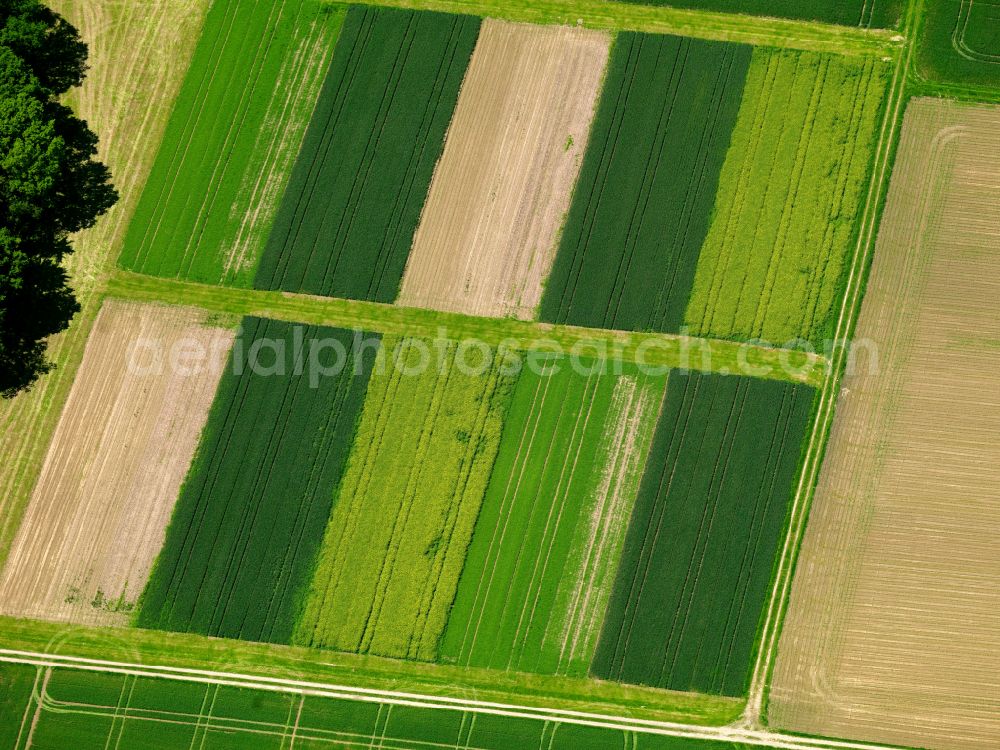 Stafflangen from the bird's eye view: Structures on agricultural fields in Stafflangen in the state Baden-Wuerttemberg, Germany