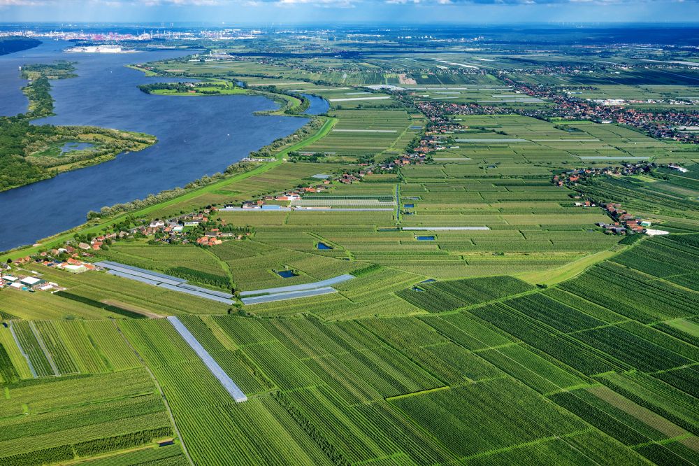 Jork from above - Structures on agricultural fields on the banks of the river Elbe in Jork Old Land in the state Lower Saxony, Germany