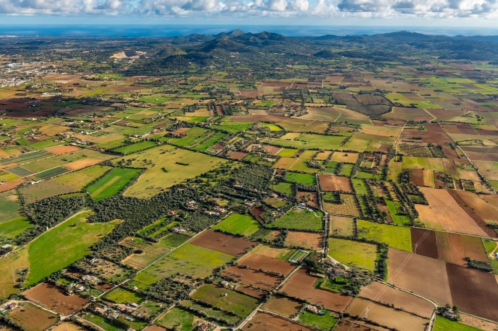 Aerial image Vilafranca de Bonany - Structures on agricultural fields in Vilafranca de Bonany in Balearische Insel Mallorca, Spain