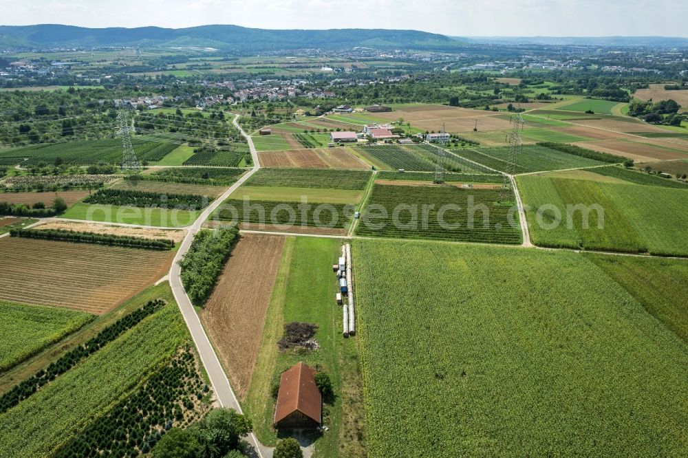Aerial photograph Waiblingen - Structures on agricultural fields in Waiblingen in the state Baden-Wuerttemberg