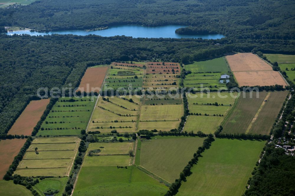 Aerial image Weingarten - Structures on agricultural fields in Weingarten in the state Baden-Wuerttemberg, Germany