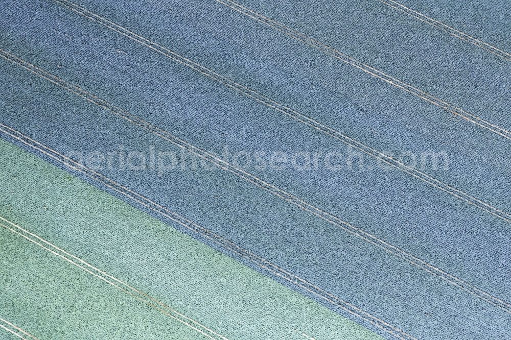 Aerial image Krefeld - Structures on agricultural fields in Krefeld in the state North Rhine-Westphalia, Germany