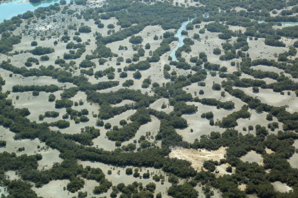 Aerial image Abu Dhabi - Water structures in the mangrove waters at Khor Laffan on the Al Jubail Island in Abu Dhabi in United Arab Emirates