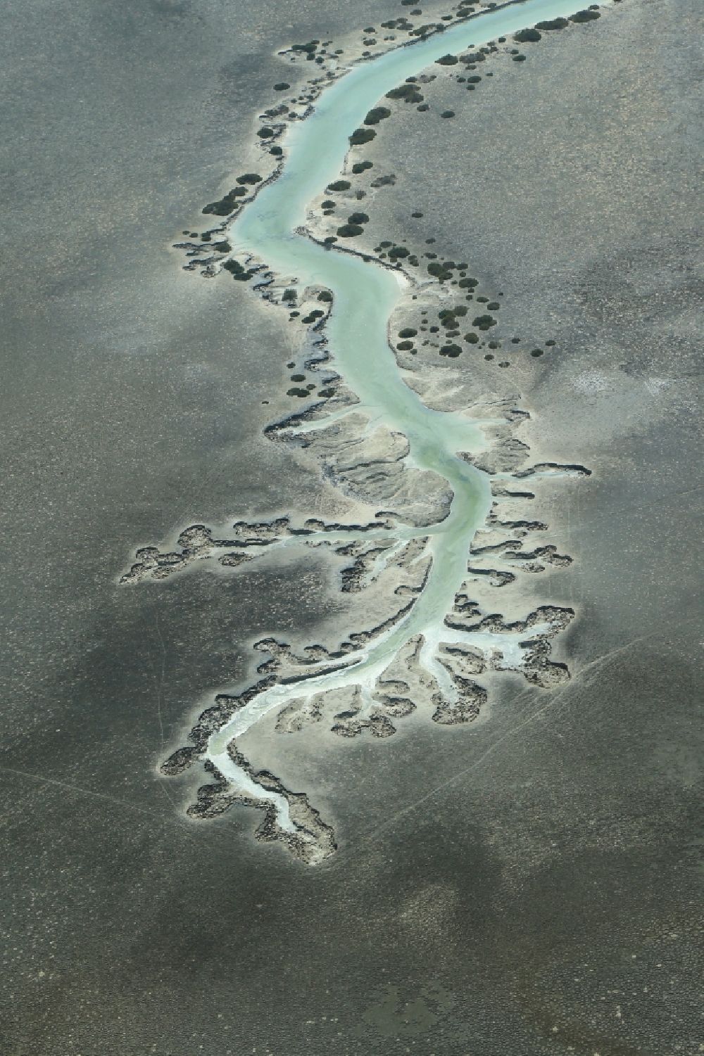 Abu Dhabi from the bird's eye view: Water structures in the mangrove waters at Khor Laffan on the Al Jubail Island in Abu Dhabi in United Arab Emirates