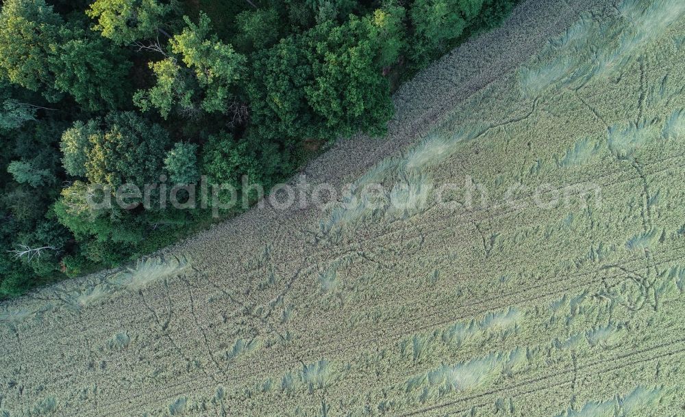 Petersdorf from the bird's eye view: Wind damage after a storm in grain field structures in Petersdorf in the state Brandenburg, Germany