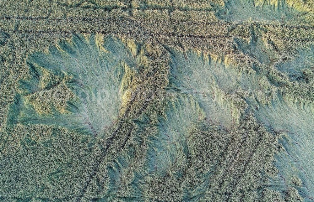 Aerial image Petersdorf - Wind damage after a storm in grain field structures in Petersdorf in the state Brandenburg, Germany