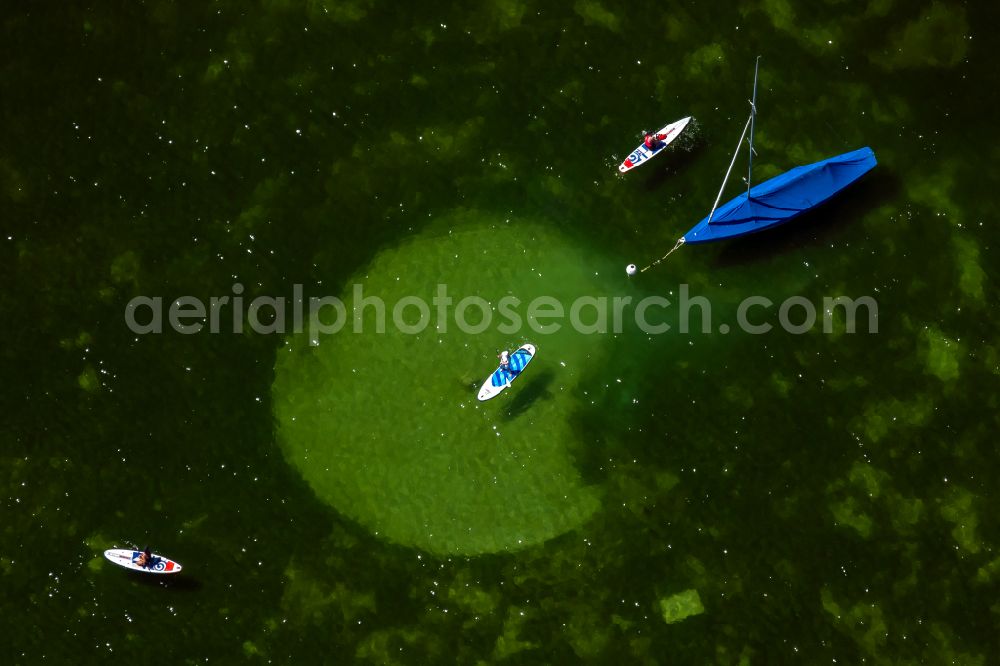 Aerial photograph Starnberger See - SUP board sport boat in motion on the water surface on Starnberger See in the state Bavaria, Germany