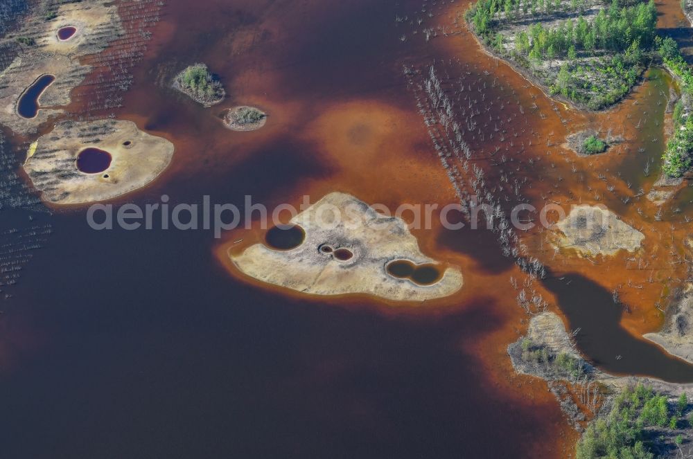 Aerial photograph Klein Partwitz - Cultivation on the shores of the lake Blunoer See in Klein Partwitz in the state Saxony, Germany