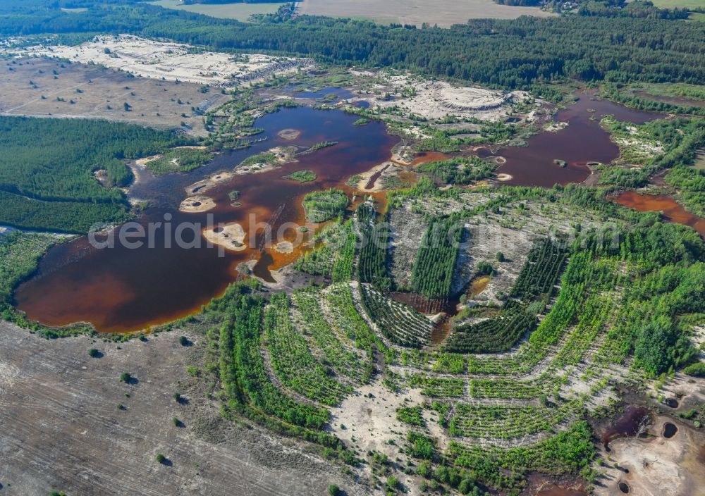 Aerial image Klein Partwitz - Cultivation on the shores of the lake Blunoer See in Klein Partwitz in the state Saxony, Germany