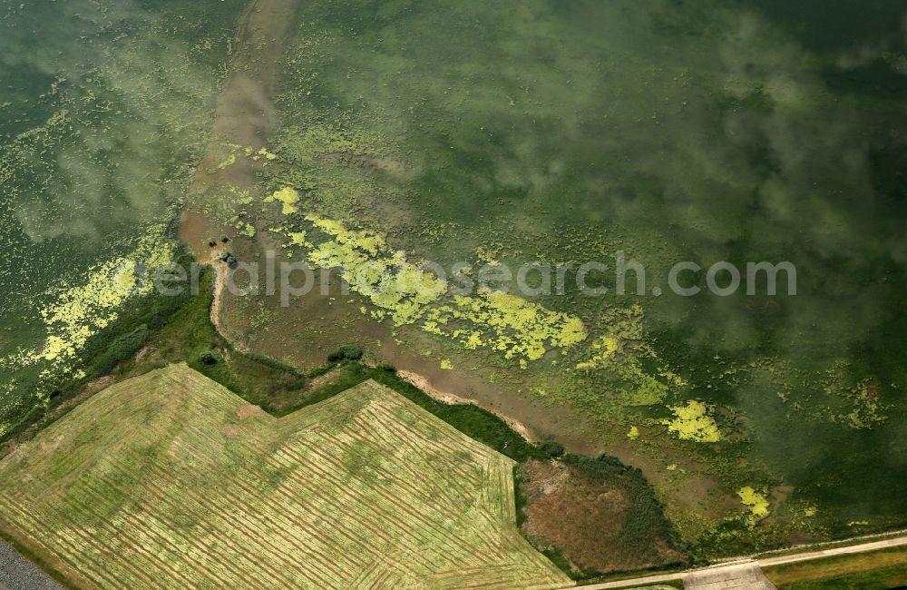 Aerial photograph Berga - Dam and shore areas at the lake Talsperre Kelbra in the district Bennungen in Berga in the state Saxony-Anhalt, Germany