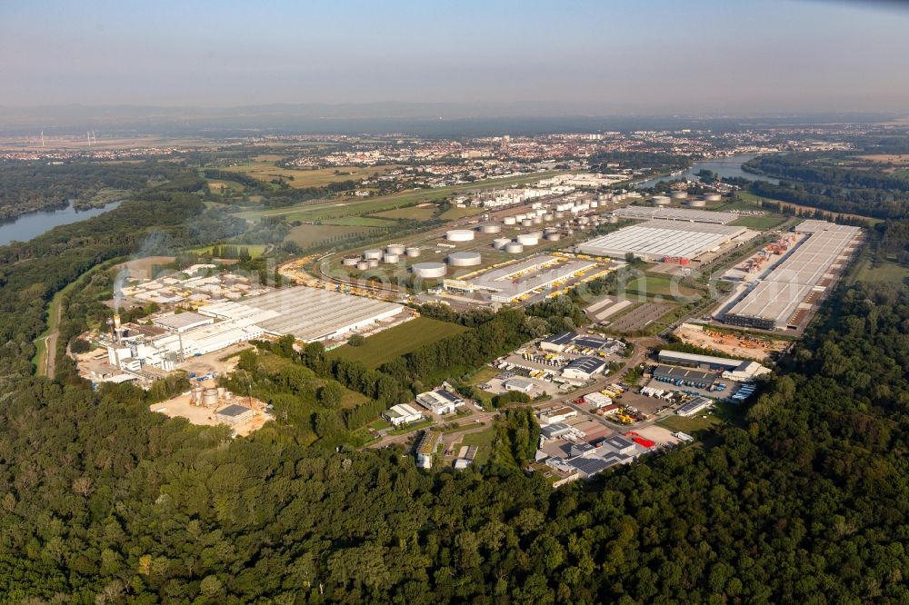 Speyer from above - Technical facilities in the industrial area with Interpneu Handelsgesellschaft mbH - Reifen Logistikzentrum, Lidl Vertriebs GmbH & Co KG SPE, Contargo, TanQuid, Saint-Gobain Isover G+H AG, Vital Fleisch GmbH and Lauras Girls Bordell in Speyer in Speyer in the state Rhineland-Palatinate, Germany