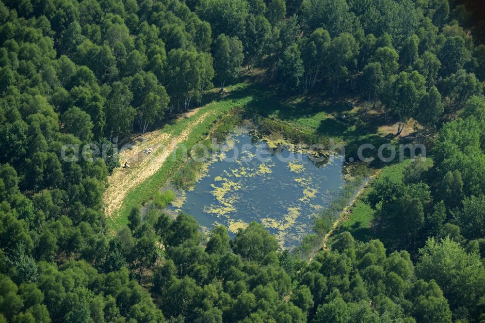Aerial image Heidehof-Golmberg - Pond in the South of the nature protection area Heidehof-Golmberg in the state of Brandenburg. The almost square pond is located on a clearing in a forest in the South of the nature preserve area