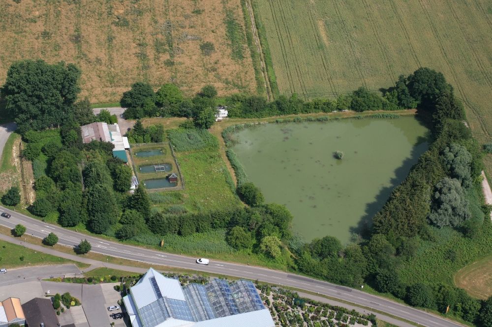 Aerial image Rheinfelden (Baden) - Ponds for fish farming and fishing of the Angelsportverein Rheinfelden in Rheinfelden (Baden) in the state Baden-Wurttemberg, Germany