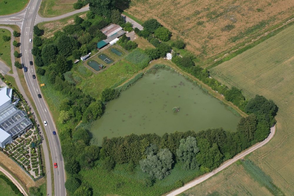 Aerial photograph Rheinfelden (Baden) - Ponds for fish farming and fishing of the Angelsportverein Rheinfelden in Rheinfelden (Baden) in the state Baden-Wurttemberg, Germany