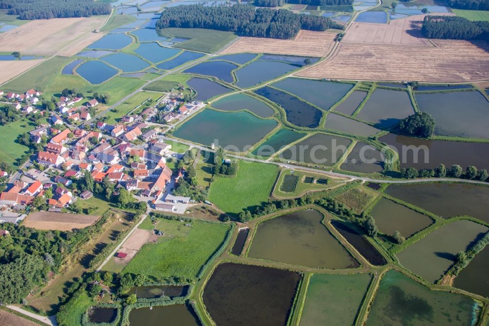 Weisendorf from the bird's eye view: Shore areas of the ponds for carp fish farming in Oberlindach near Erlangen in Weisendorf in the state Bavaria