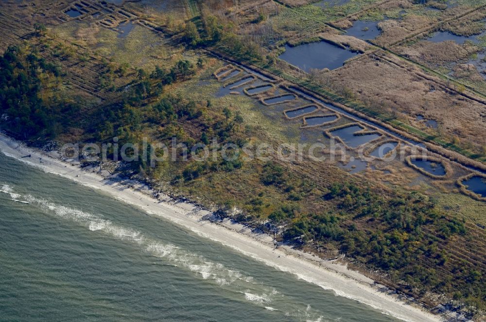 Zingst from the bird's eye view: Ponds at the Baltic Sea next to Sundische Wiese in Zingst in the state Mecklenburg - Western Pomerania, Germany