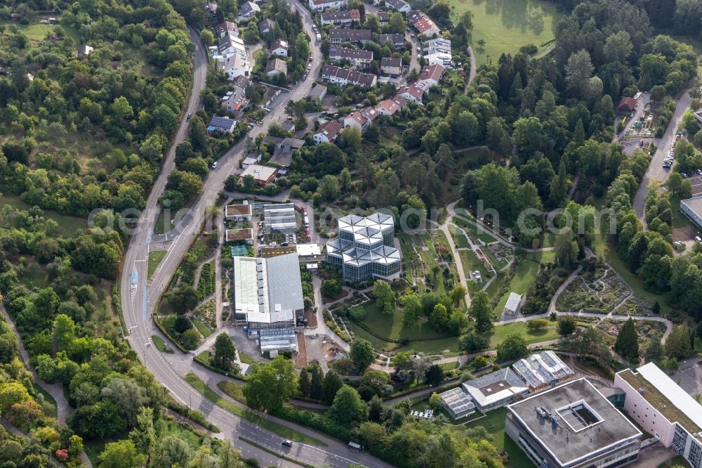 Aerial image Tübingen - Terraced park Botanischer Garten, Tropicarium and Arboretum of Universitaet Tuebingen in Tuebingen in the state Baden-Wuerttemberg, Germany