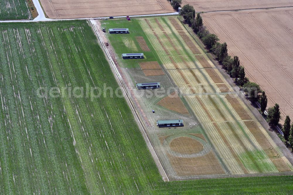 Aerial photograph Berlin - Animal breeding equipment Livestock for meat production on a field in the district Wartenberg in Berlin, Germany