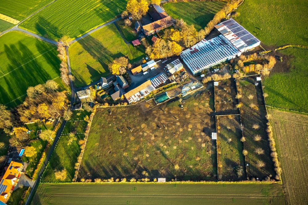 Schwefe from above - Animal breeding equipment Livestock for meat production on Oelmuehlenweg in Schwefe in the state North Rhine-Westphalia, Germany