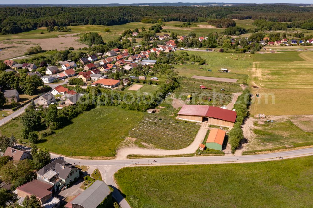 Aerial image Chorin - Animal breeding stables Sven Geelhaar Landwirtschaftsbetrieb in Chorin in the state Brandenburg, Germany