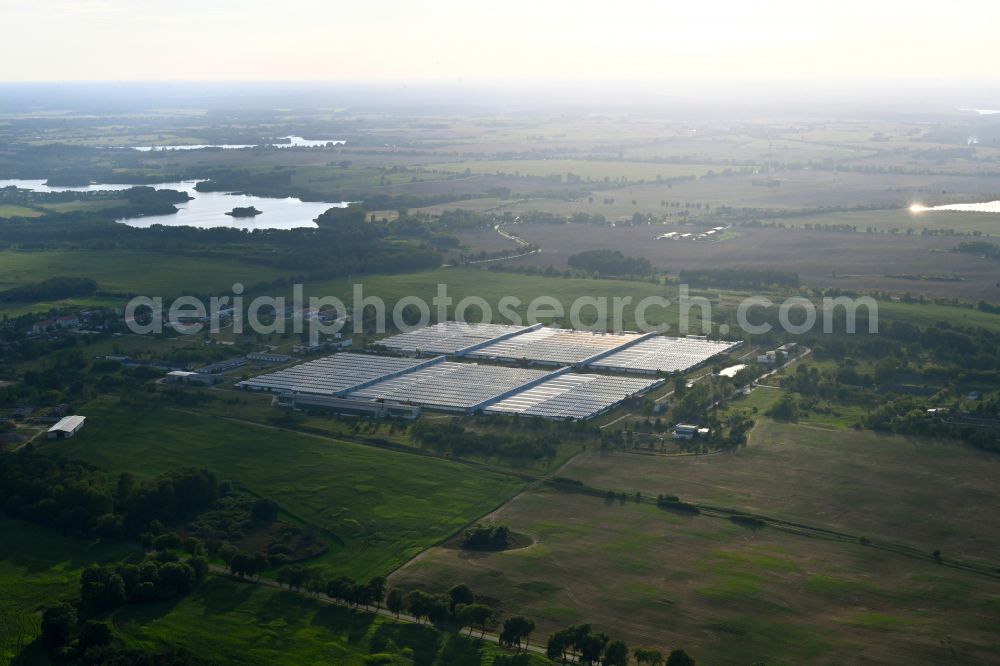Haßleben from the bird's eye view: Animal breeding stables of the Hasslebener Pig Production and Recycling GmbH on the street of the DSF in Hassleben in the state Brandenburg, Germany