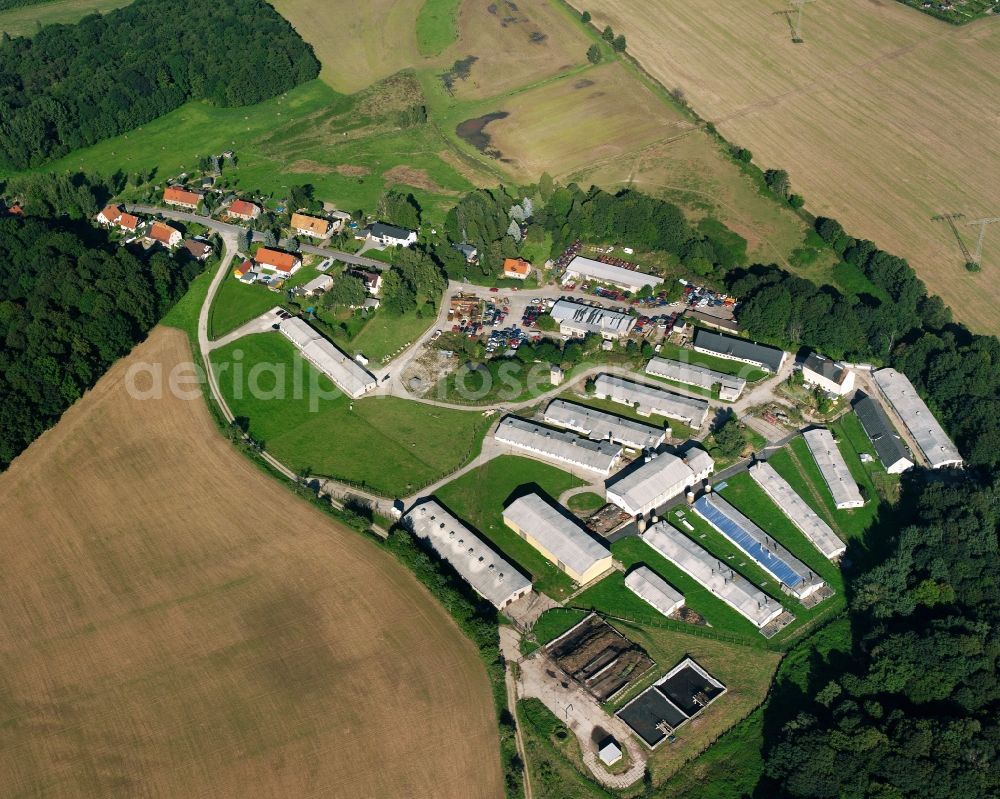 Aerial photograph Niederlichtenau - Animal breeding stables Schweineproduktion Niederlichtenau GmbH in Niederlichtenau in the state Saxony, Germany