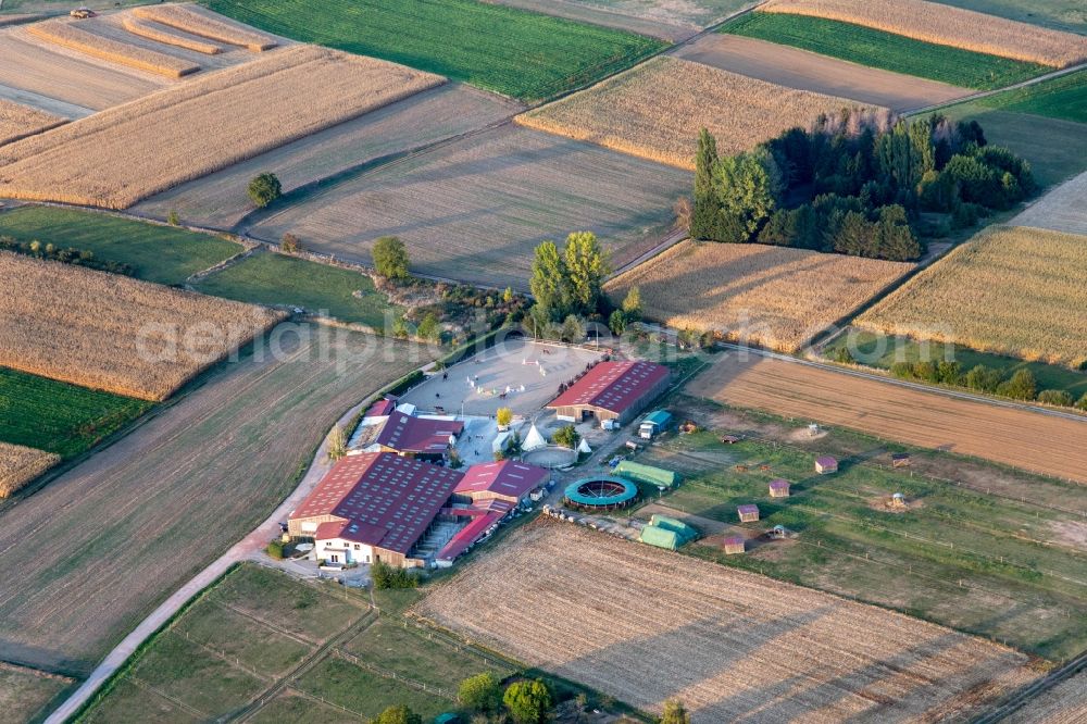 Aerial photograph Retschwiller - Horse breeding Ecurie Du Lac in Retschwiller in Grand Est, France