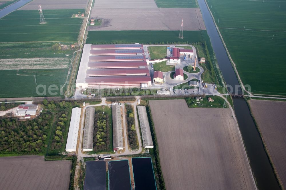 Aerial image Codigoro - Animal breeding equipment Livestock breeding for meat production in Codigoro in Emilia-Romagna, Italy
