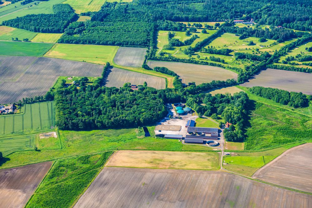 Aerial photograph Stadum - Animal breeding stables Agricultural business in Stadum in the state Schleswig-Holstein, Germany