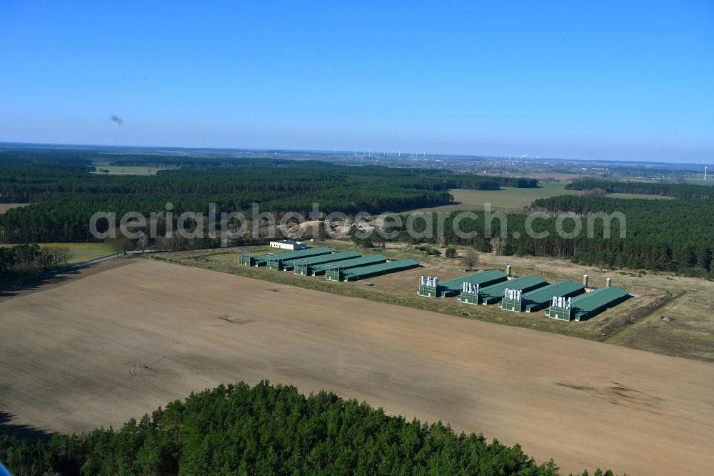 Aerial photograph Wittstock/Dosse - Animal breeding equipment Livestock breeding for meat production on a field in Wittstock/Dosse in the state Brandenburg, Germany