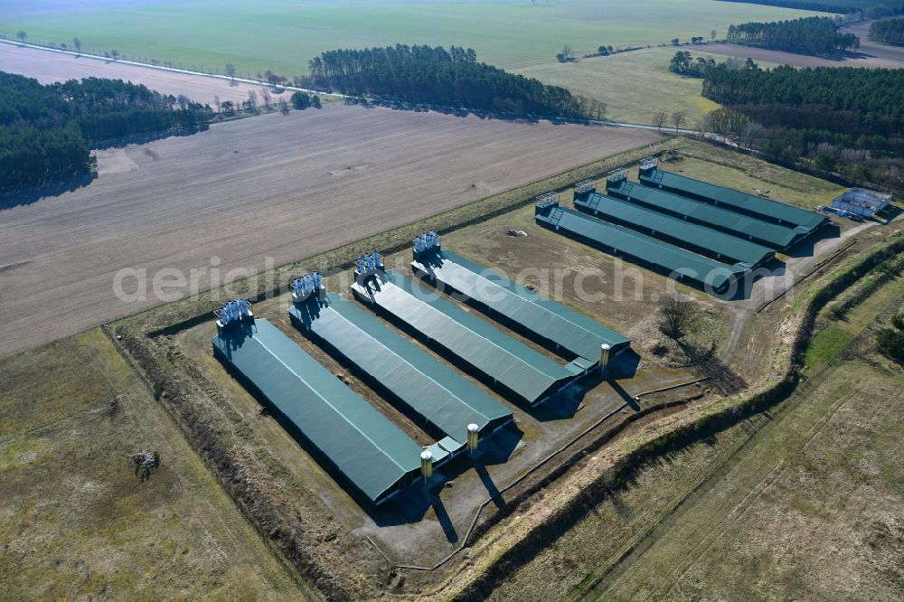 Wittstock/Dosse from the bird's eye view: Animal breeding equipment Livestock breeding for meat production on a field in Wittstock/Dosse in the state Brandenburg, Germany