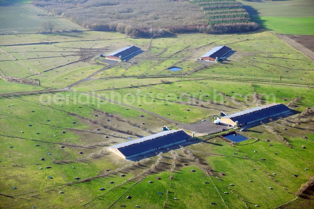 Kambs from above - Animal breeding equipment Livestock breeding for meat production in Kambs in the state Mecklenburg - Western Pomerania, Germany