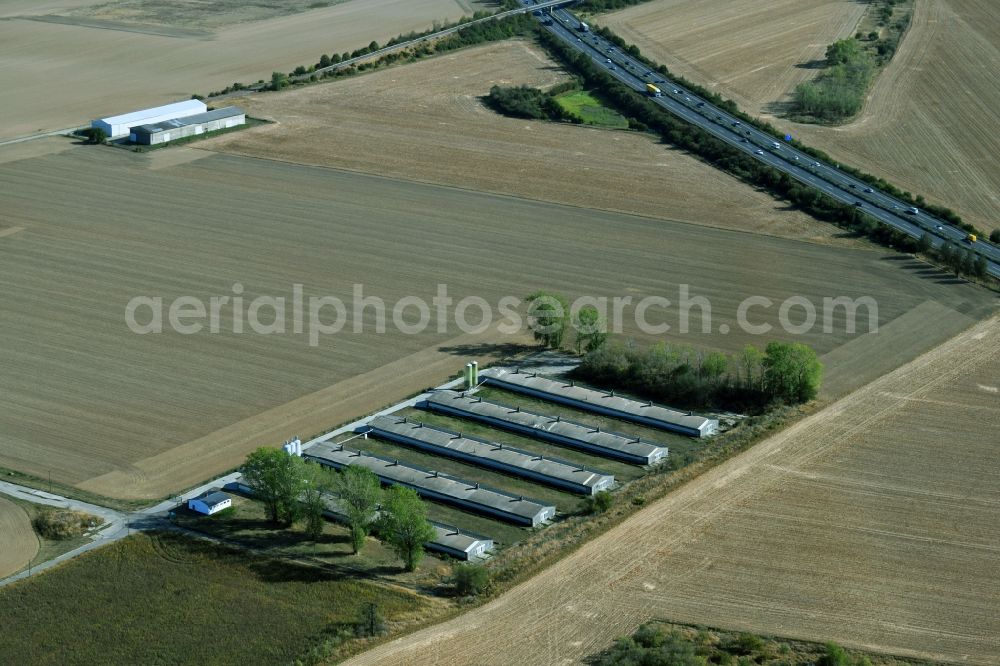 Oppin from the bird's eye view: Animal breeding equipment Livestock breeding for meat production in Oppin in the state Saxony-Anhalt, Germany