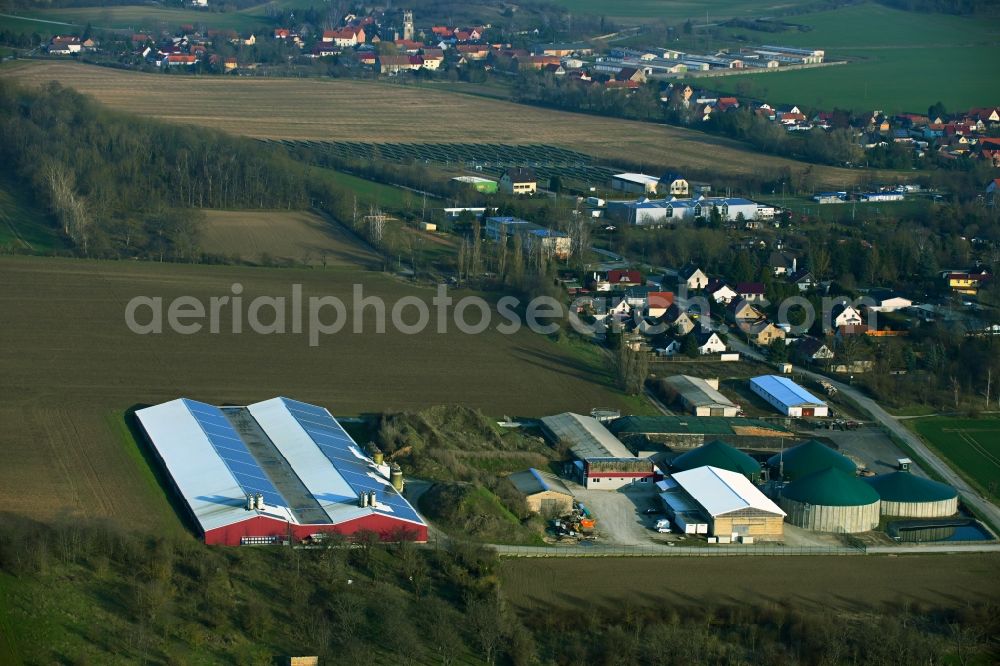 Farnstädt from the bird's eye view: Animal breeding equipment Livestock breeding for meat production on Weinbergsiedlung in Farnstaedt in the state Saxony-Anhalt, Germany